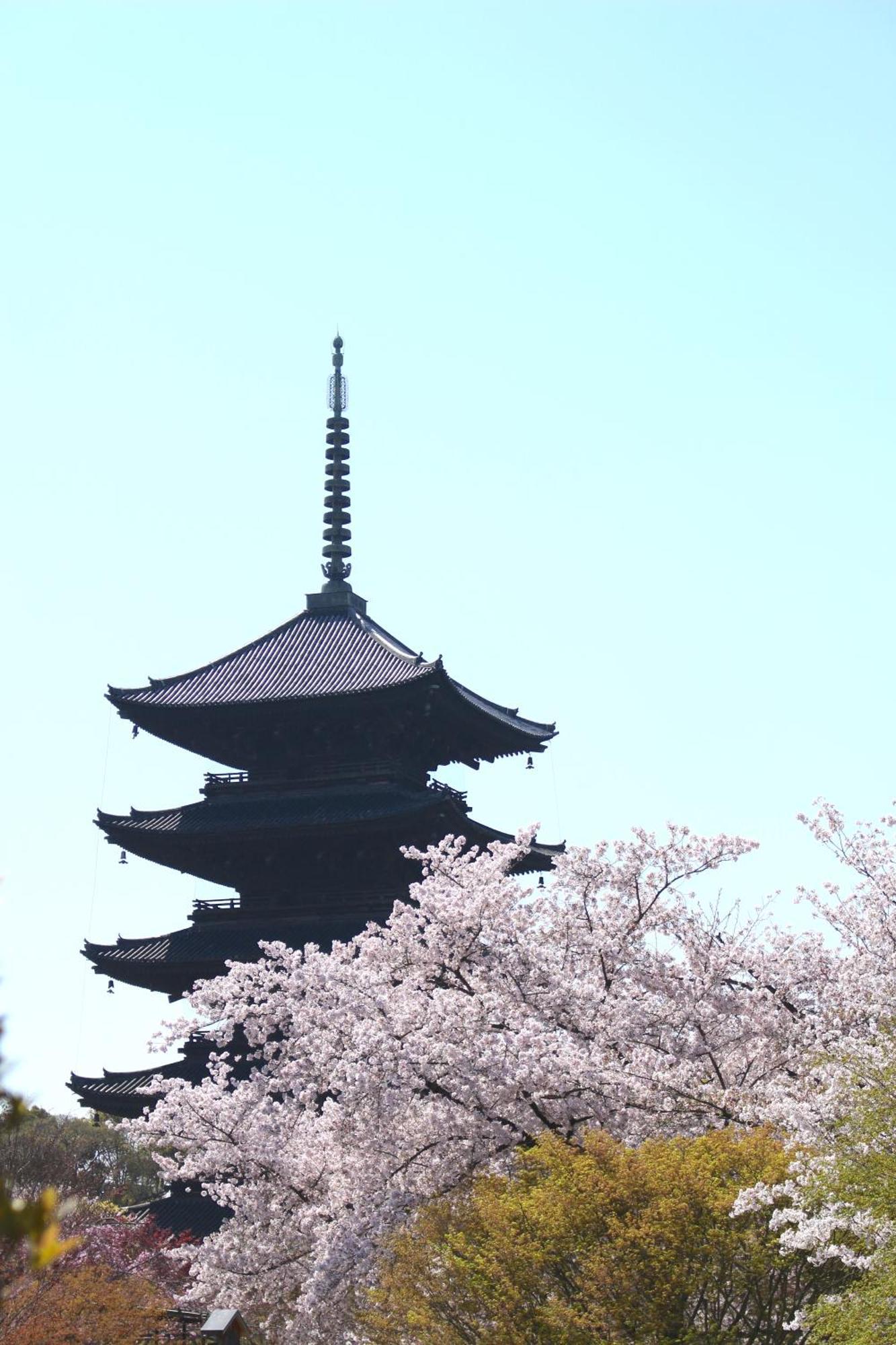 Stay Sakura Kyoto Tsubaki Dış mekan fotoğraf